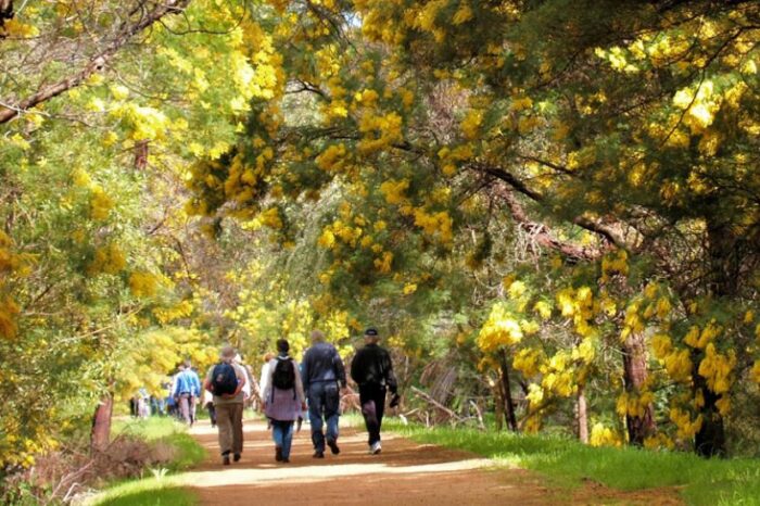 Perth Hills Highlights